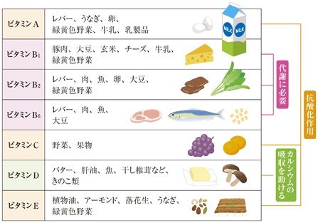 nutrition04_03
